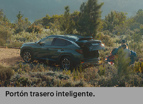 New Tucson Confort