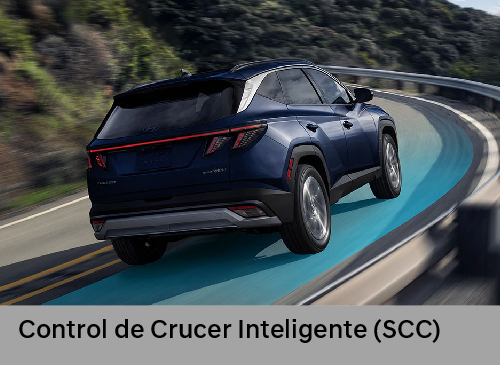 New Tucson Seguridad