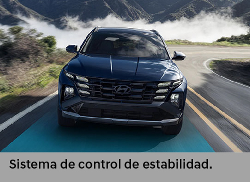 New Tucson Seguridad